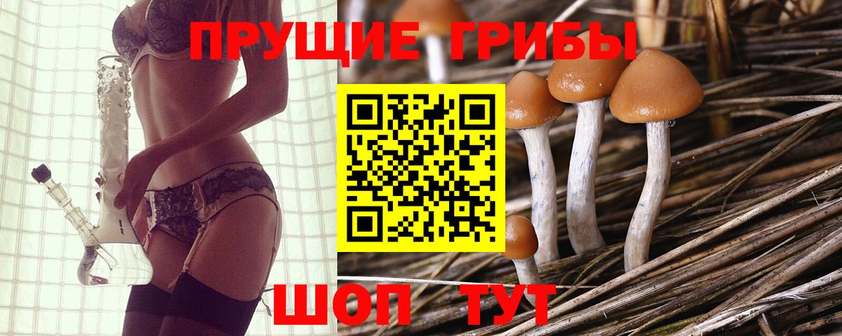 Галлюциногенные грибы Cubensis  Псилоцибиновые грибы ЛСД  цены   Усолье-Сибирское  Вход с VPN 